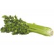 Celeri vert